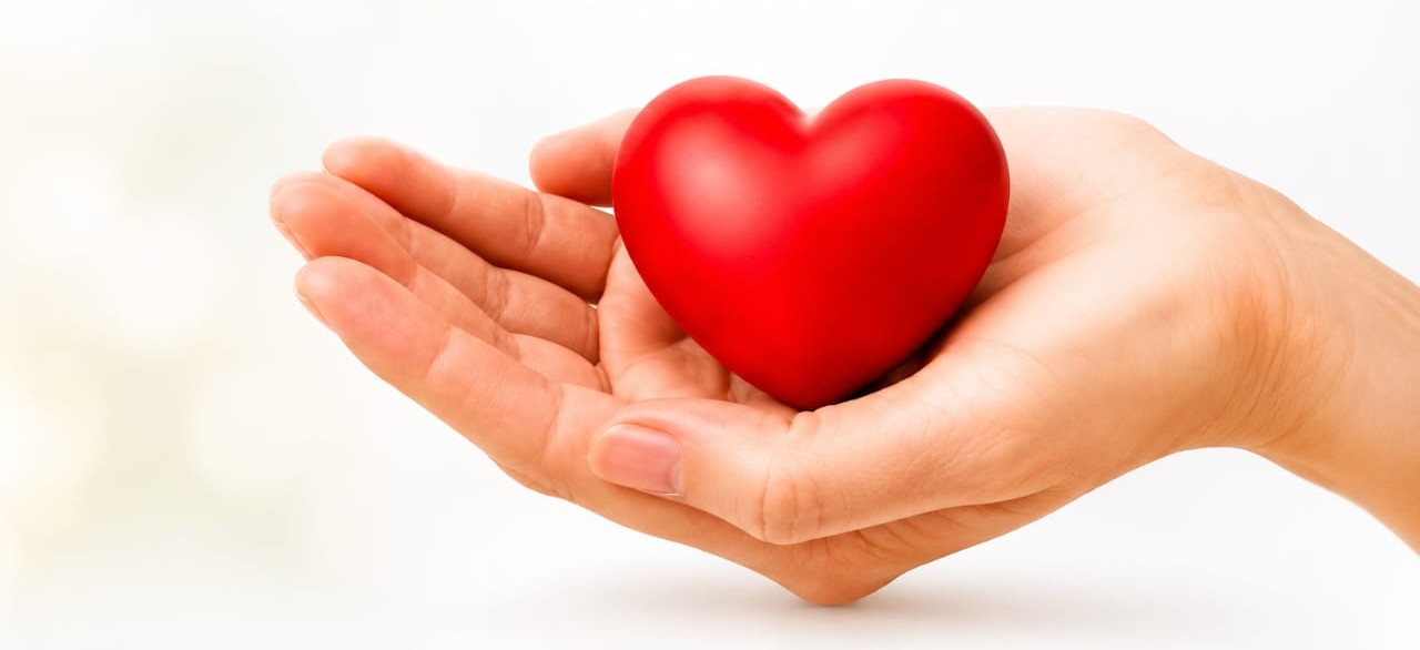 Hands holding a heart